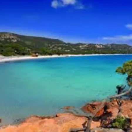 Mini Villa 4 Couchages Avec Piscine, Plage A Pied Corse Du Sud