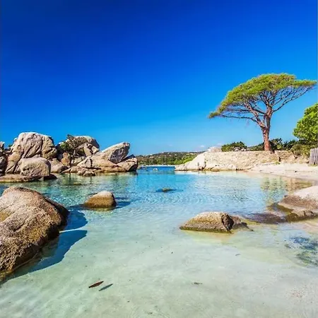 Mini Villa 4 Couchages Avec Piscine, Plage A Pied Corse Du Sud Prázdninový dům